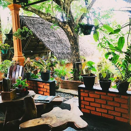 Oleena Home Stay Habarana Ngoại thất bức ảnh