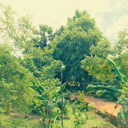 Oleena Home Stay Habarana Ngoại thất bức ảnh