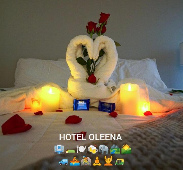 Oleena Home Stay Habarana Ngoại thất bức ảnh