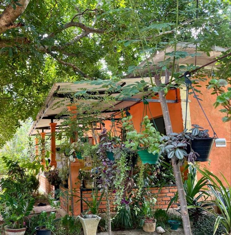 Oleena Home Stay Habarana Ngoại thất bức ảnh