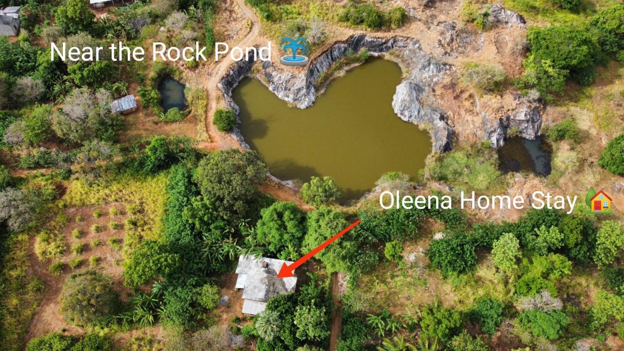 Oleena Home Stay Habarana Ngoại thất bức ảnh