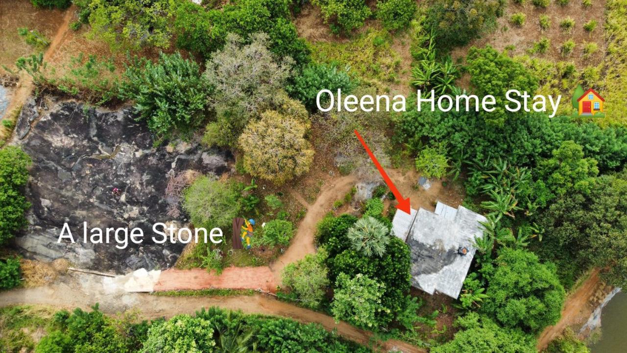 Oleena Home Stay Habarana Ngoại thất bức ảnh