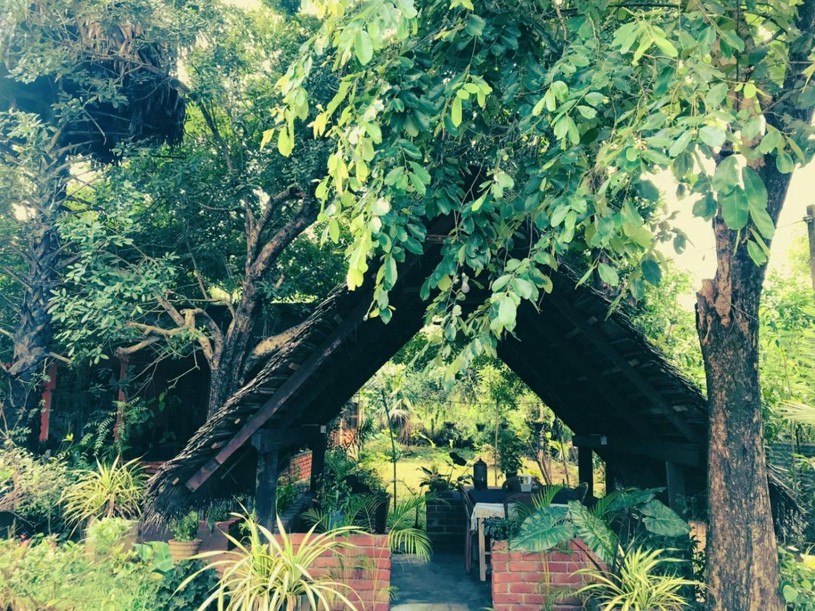 Oleena Home Stay Habarana Ngoại thất bức ảnh