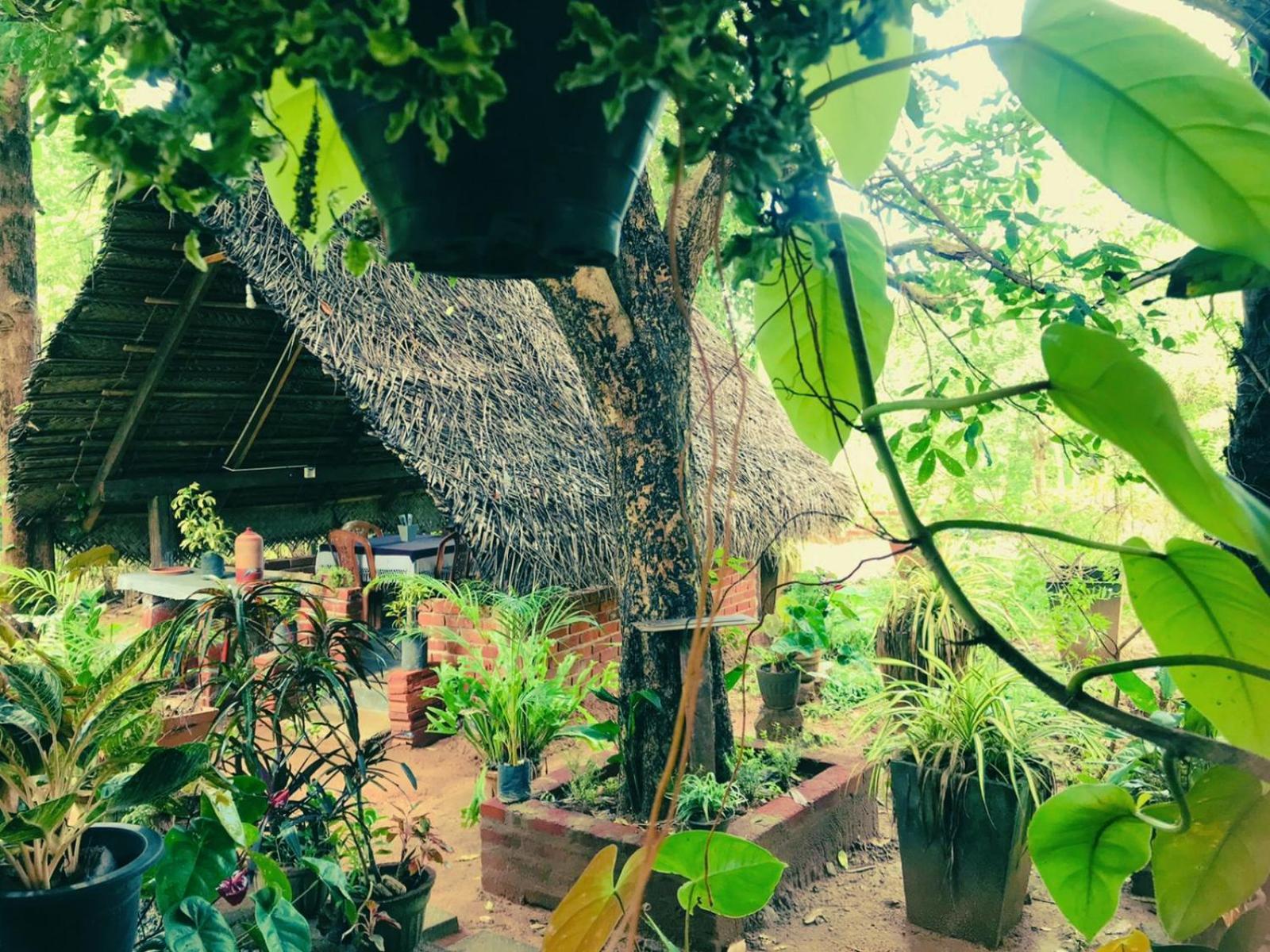 Oleena Home Stay Habarana Ngoại thất bức ảnh
