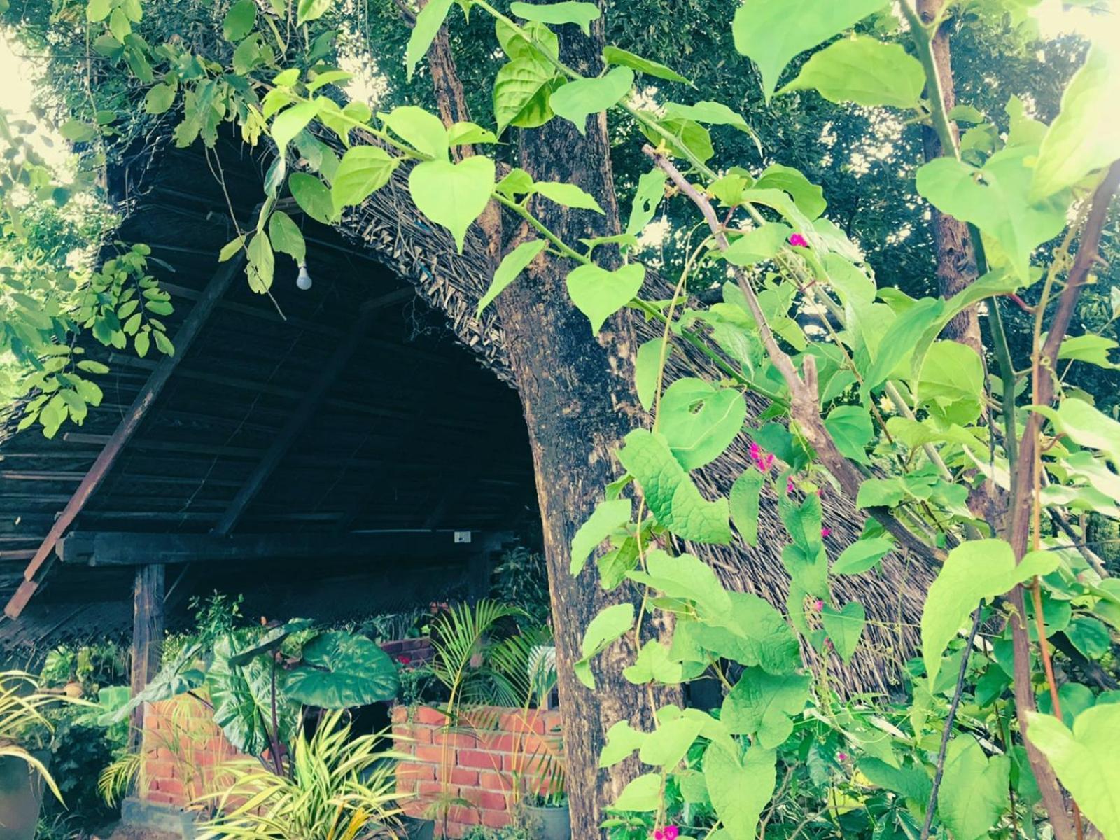 Oleena Home Stay Habarana Ngoại thất bức ảnh